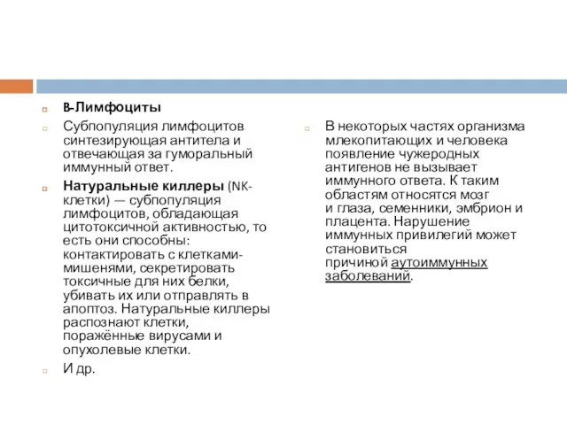 B-Лимфоциты Субпопуляция лимфоцитов синтезирующая антитела и отвечающая за гуморальный иммунный ответ.