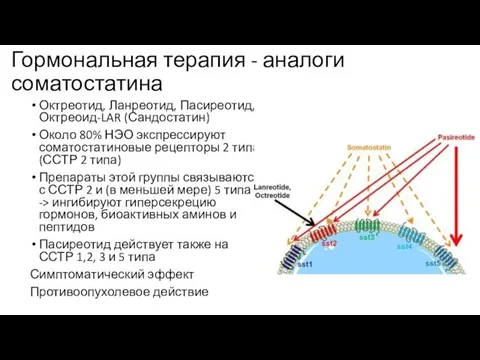 Гормональная терапия - аналоги соматостатина Октреотид, Ланреотид, Пасиреотид, Октреоид-LAR (Сандостатин) Около