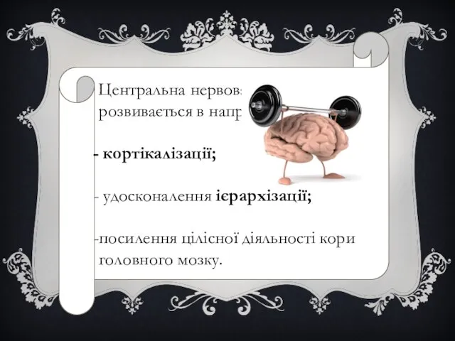 Центральна нервова система розвивається в напрямі: кортікалізації; удосконалення ієрархізації; посилення цілісної діяльності кори головного мозку.