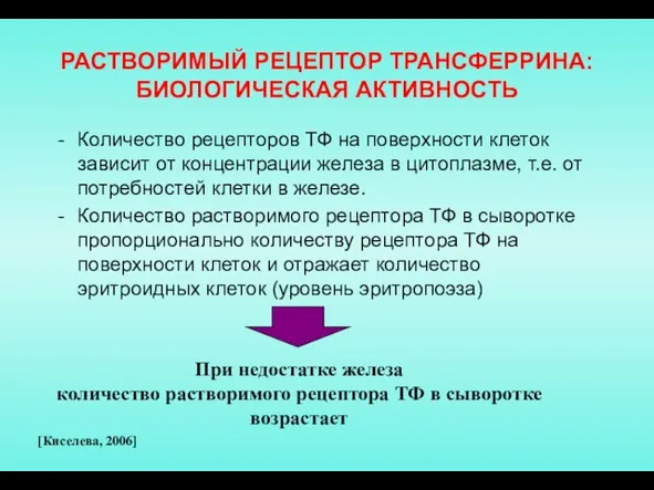 Количество рецепторов ТФ на поверхности клеток зависит от концентрации железа в