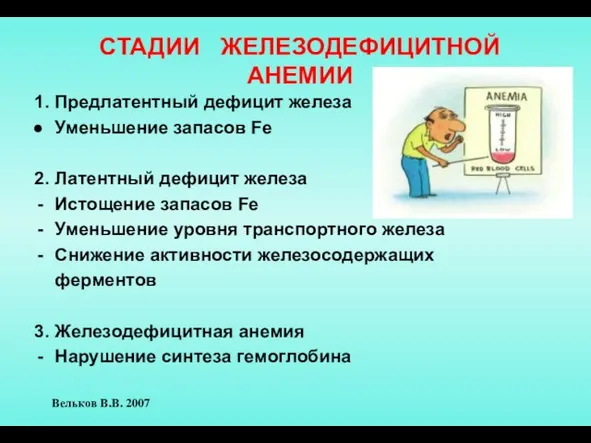 СТАДИИ ЖЕЛЕЗОДЕФИЦИТНОЙ АНЕМИИ 1. Предлатентный дефицит железа Уменьшение запасов Fe 2.