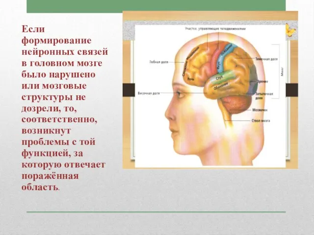 Если формирование нейронных связей в головном мозге было нарушено или мозговые