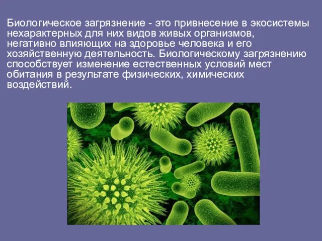 Биологическое загрязнение - это привнесение в экосистемы нехарактерных для них видов