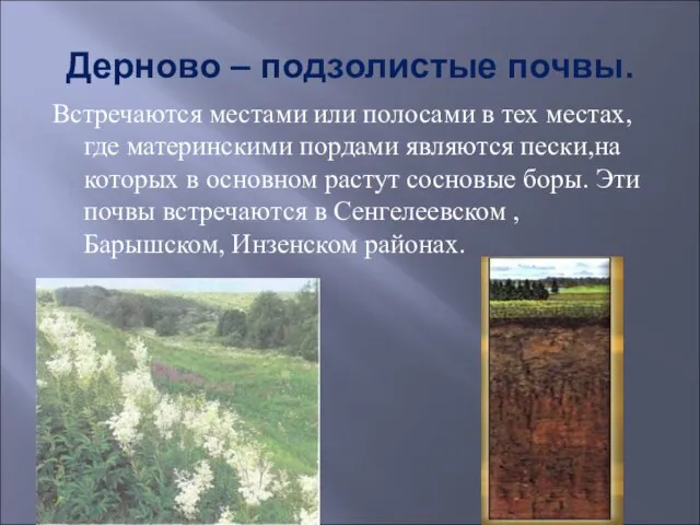 Дерново – подзолистые почвы. Встречаются местами или полосами в тех местах,где