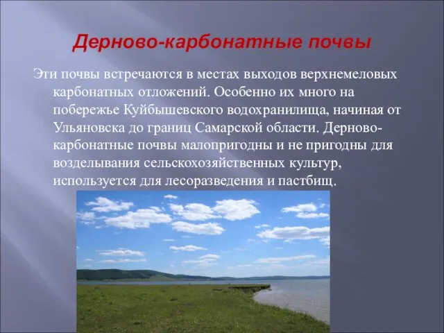 Дерново-карбонатные почвы Эти почвы встречаются в местах выходов верхнемеловых карбонатных отложений.