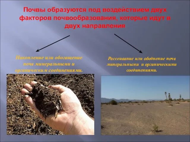 Почвы образуются под воздействием двух факторов почвообразования, которые идут в двух