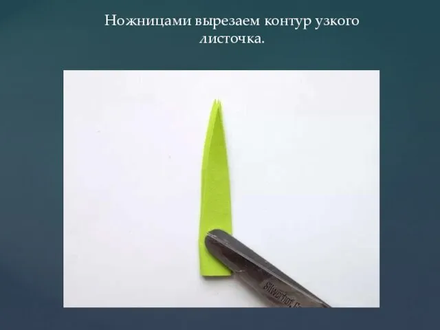 Ножницами вырезаем контур узкого листочка.