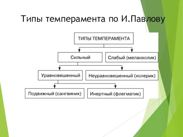 Типы темперамента по И.Павлову