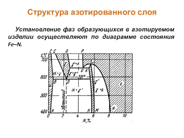 Структура азотированного слоя Установление фаз образующихся в азотируемом изделии осуществляют по диаграмме состояния Fe–N.