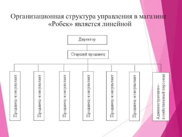 Организационная структура управления в магазине «Робек» является линейной