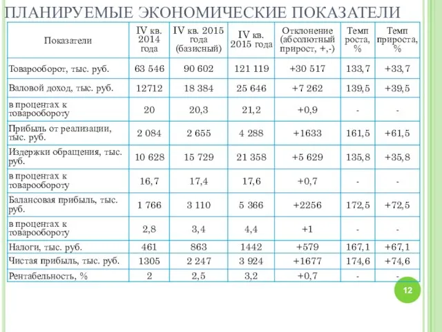 ПЛАНИРУЕМЫЕ ЭКОНОМИЧЕСКИЕ ПОКАЗАТЕЛИ