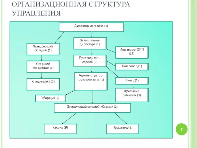 ОРГАНИЗАЦИОННАЯ СТРУКТУРА УПРАВЛЕНИЯ