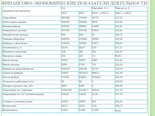 ФИНАНСОВО-ЭКОНОМИЧЕСКИЕ ПОКАЗАТЕЛИ ДЕЯТЕЛЬНОСТИ