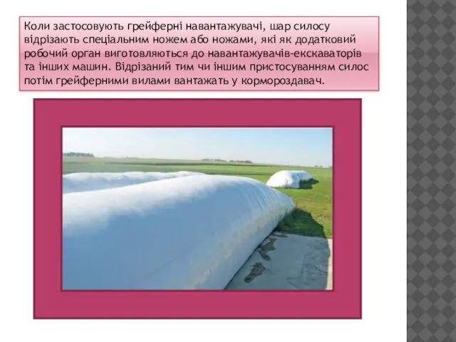 Коли застосовують грейферні навантажувачі, шар силосу відрізають спеціальним ножем або ножами,