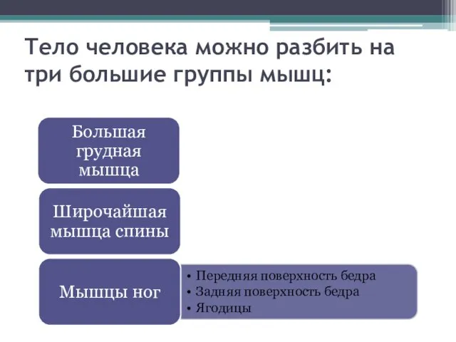 Тело человека можно разбить на три большие группы мышц: