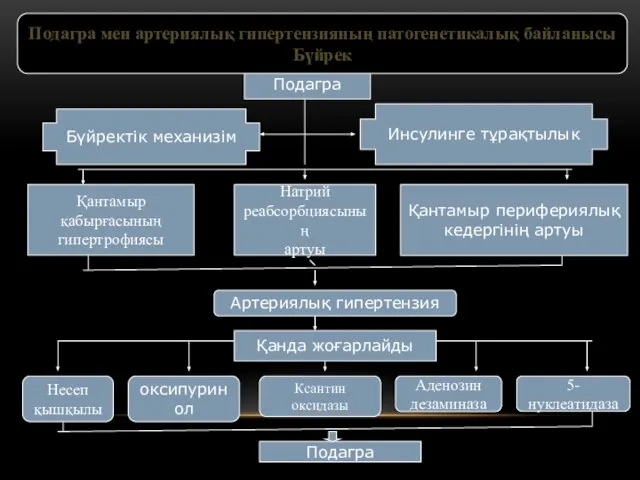 Подагра Қантамыр қабырғасының гипертрофиясы Натрий реабсорбциясының артуы Қантамыр перифериялық кедергінің артуы