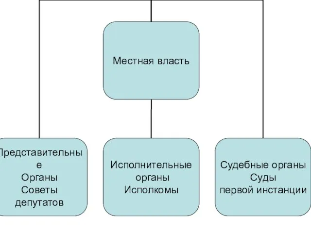 Местная власть