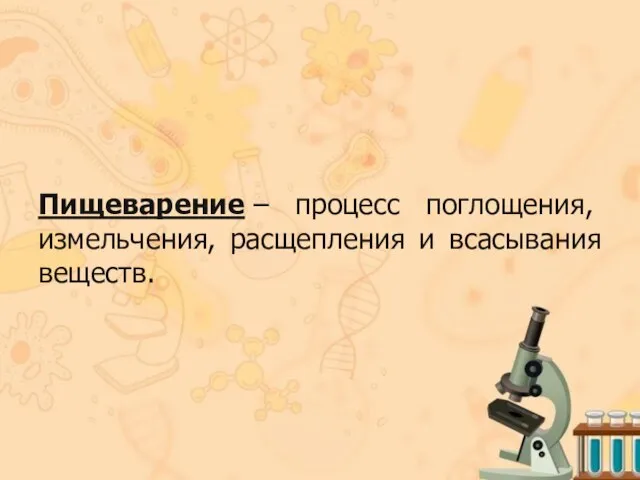 Пищеварение – процесс поглощения, измельчения, расщепления и всасывания веществ.