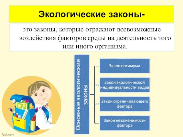 Экологические законы- это законы, которые отражают всевозможные воздействия факторов среды на деятельность того или иного организма.