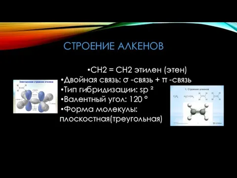 СТРОЕНИЕ АЛКЕНОВ СН2 = СН2 этилен (этен) Двойная связь: σ -связь