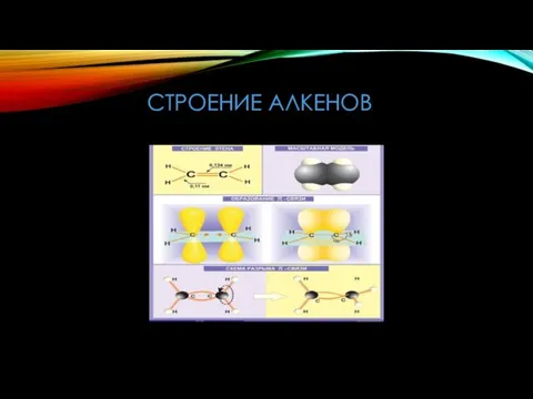 СТРОЕНИЕ АЛКЕНОВ