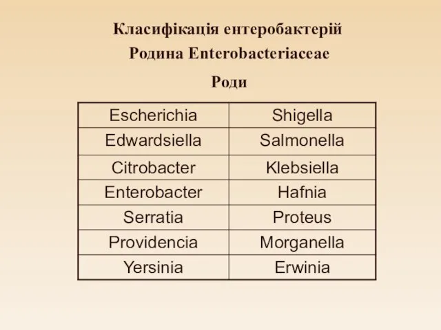 Класифікація ентеробактерій Родина Enterobacteriaceae Роди