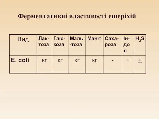 Ферментативні властивості ешеріхій