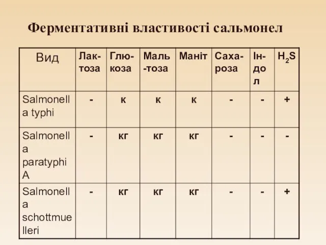 Ферментативні властивості сальмонел