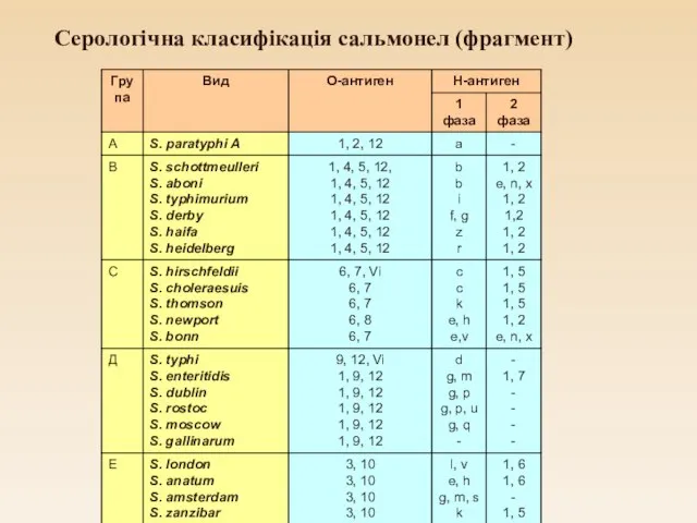 Серологічна класифікація сальмонел (фрагмент)