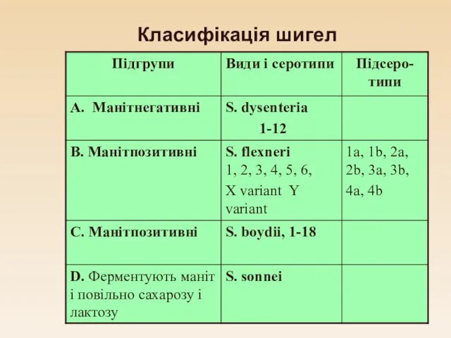 Класифікація шигел