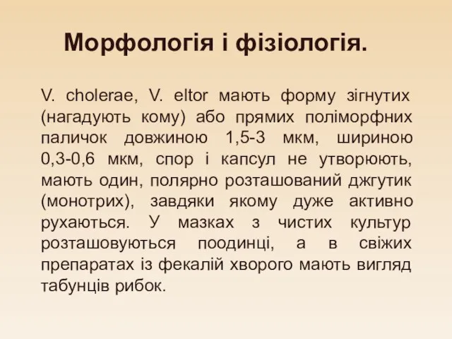 Морфологія і фізіологія. V. cholerae, V. eltor мають форму зігнутих (нагадують