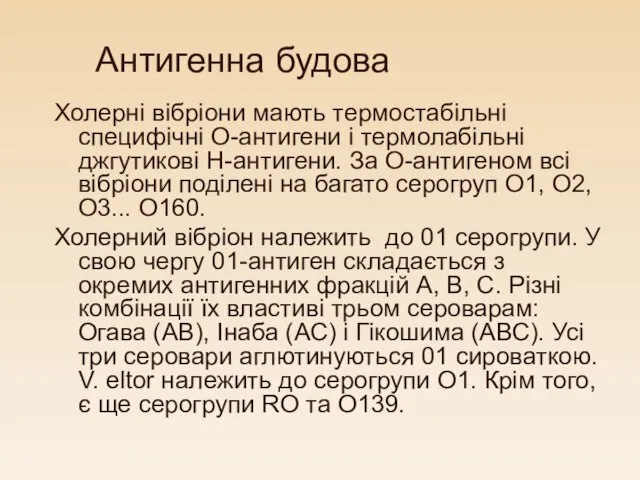 Антигенна будова Холерні вібріони мають термостабільні специфічні О-антигени і термолабільні джгутикові