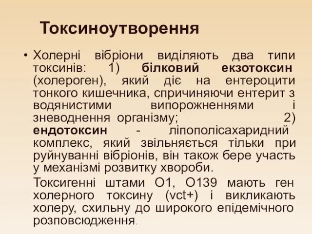 Токсиноутворення Холерні вібріони виділяють два типи токсинів: 1) білковий екзотоксин (холероген),