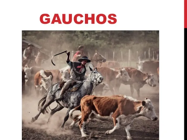 GAUCHOS