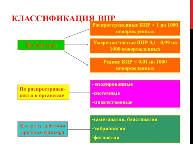 КЛАССИФИКАЦИЯ ВПР По частоте По распространен-ности в организме Умеренно частые ВПР