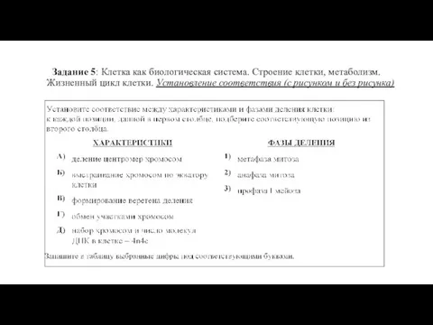 Задание 5: Клетка как биологическая система. Строение клетки, метаболизм. Жизненный цикл