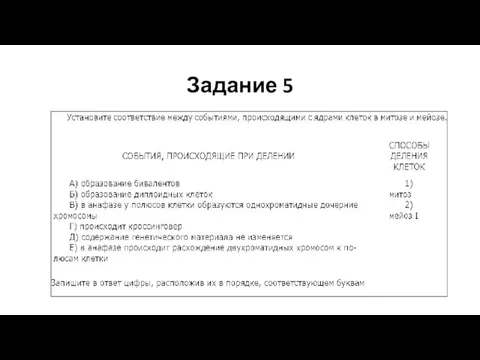 Задание 5