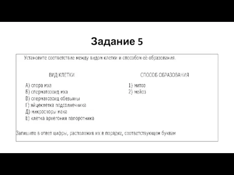 Задание 5