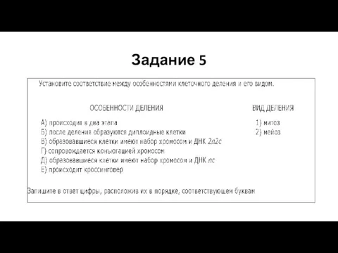 Задание 5