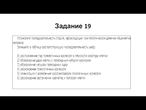 Задание 19