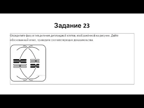 Задание 23