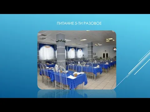 ПИТАНИЕ 5-ТИ РАЗОВОЕ