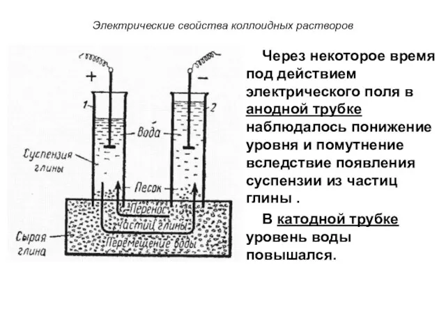 Электрические свойства коллоидных растворов Через некоторое время под действием электрического поля