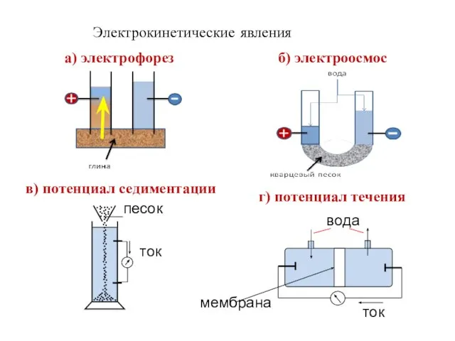 а) электрофорез б) электроосмос в) потенциал седиментации мембрана вода Электрокинетические явления