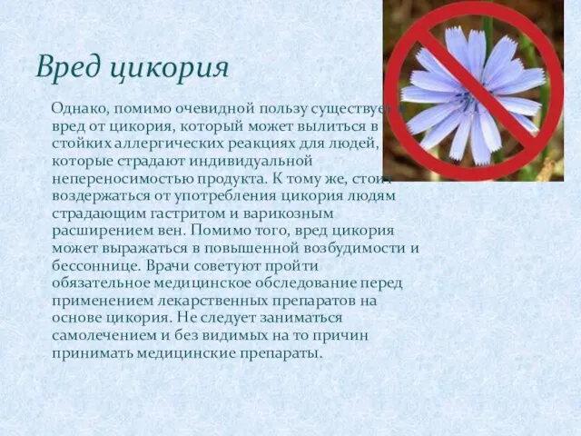 Однако, помимо очевидной пользу существует и вред от цикория, который может