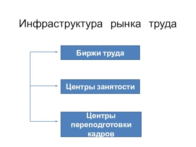 Инфраструктура рынка труда Биржи труда Центры занятости Центры переподготовки кадров