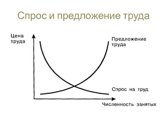 Спрос и предложение труда