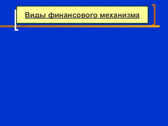 Виды финансового механизма