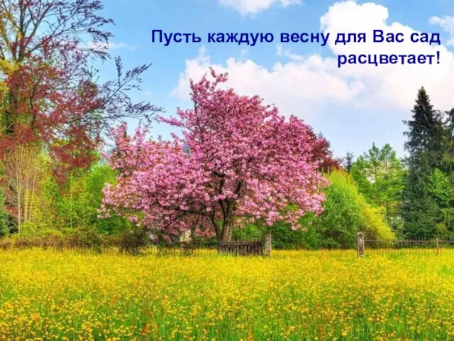 Пусть каждую весну для Вас сад расцветает!