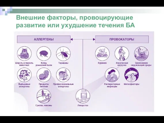 Внешние факторы, провоцирующие развитие или ухудшение течения БА